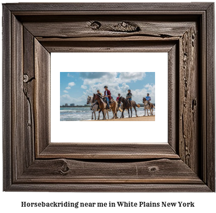 horseback riding near me in White Plains, New York